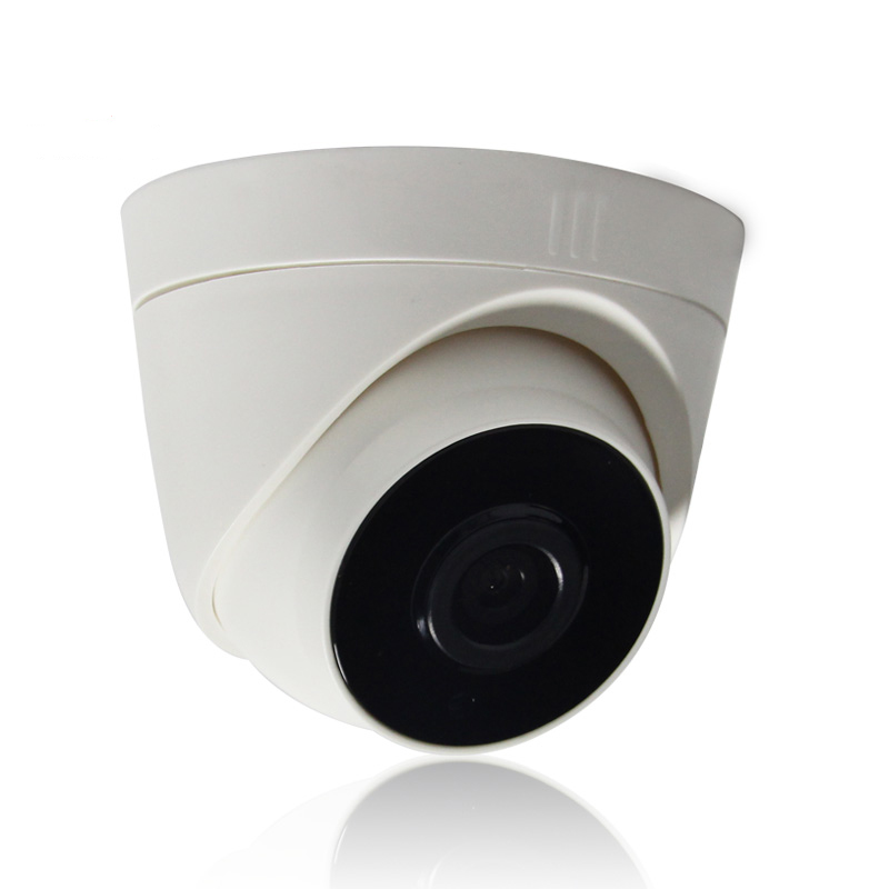 1080P outdoor Dome  IP Camera